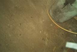 rockfield 1098.JPG